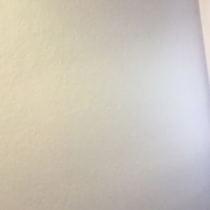 Meet your Posher, Dominick